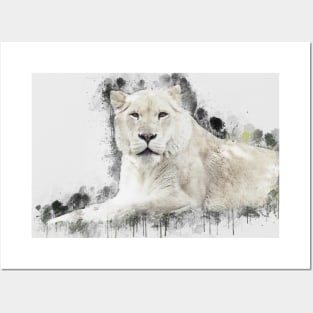 Lioness Lion Animal Wild Africa Jungle Safari Wildlife Posters and Art